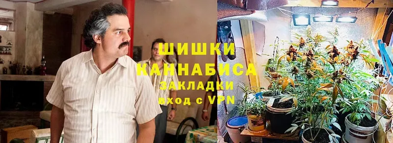 Конопля Ganja  Западная Двина 